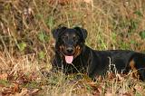 BEAUCERON 1035